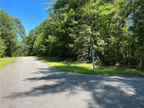 20 Vineyard Park, Sunset, SC 29685 photo 4