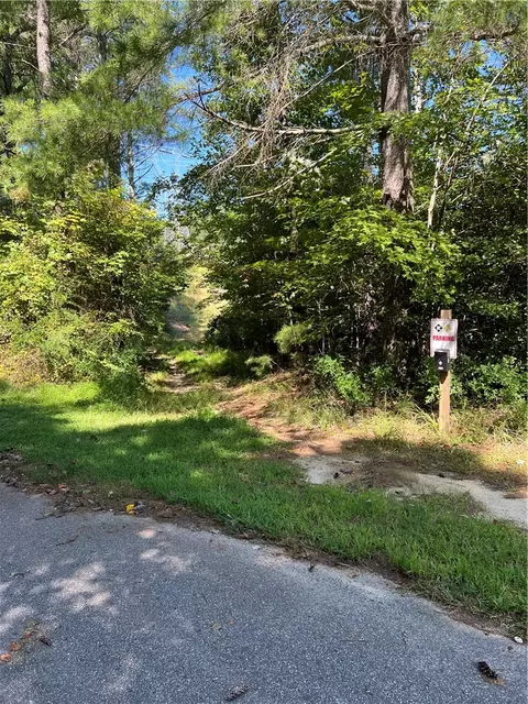 20 Vineyard Park, Sunset, SC 29685 photo 7