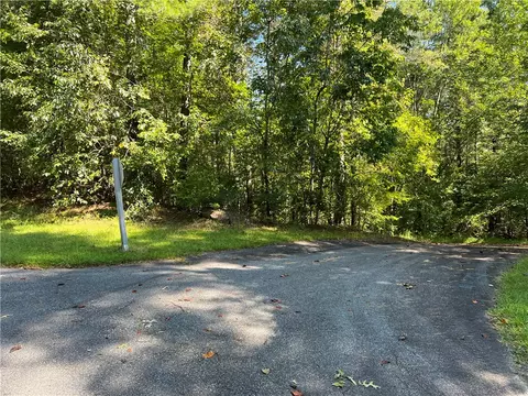 20 Vineyard Park, Sunset, SC 29685 photo 5