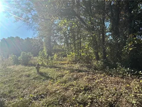 0 Sirrine St, Honea Path, SC 29654 photo 2