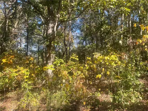 Tract E Vine Road, Westminster, SC 29693 photo 11