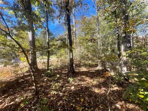 Tract E Vine Road, Westminster, SC 29693 photo 4