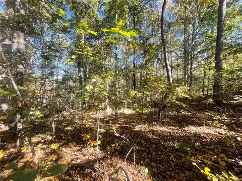 Tract E Vine Road, Westminster, SC 29693 photo 9