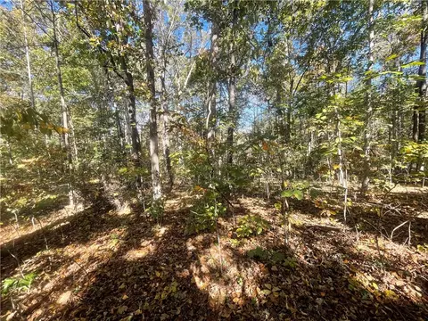 Tract E Vine Road, Westminster, SC 29693 photo 8