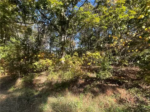 Tract E Vine Road, Westminster, SC 29693 photo 7