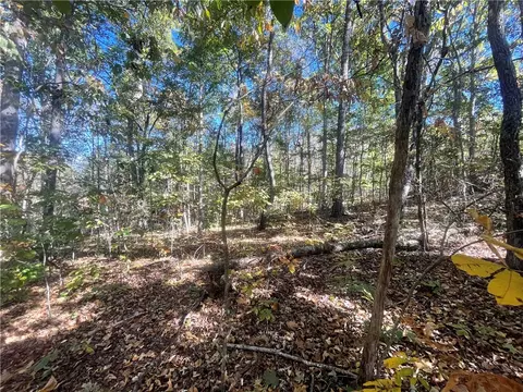 Tract E Vine Road, Westminster, SC 29693 photo 6