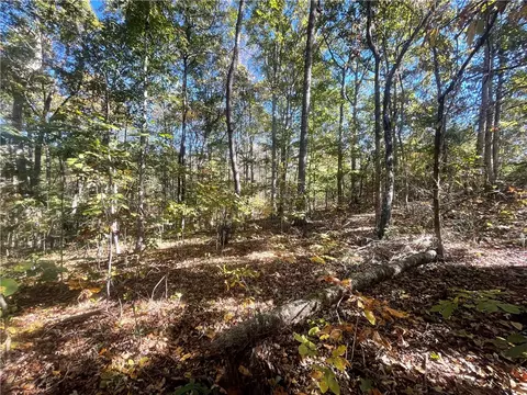 Tract E Vine Road, Westminster, SC 29693