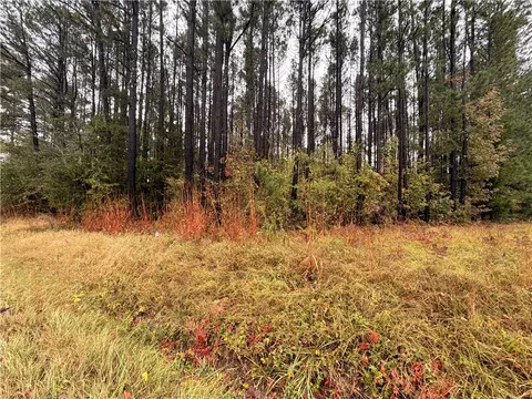 00 Beech Springs Road Rd, Pelzer, SC 29669 photo 6