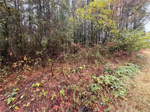 00 Beech Springs Road Rd, Pelzer, SC 29669 photo 3