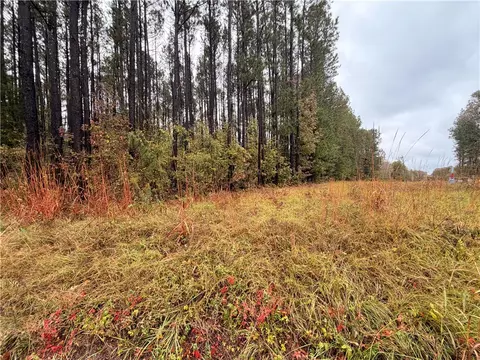 00 Beech Springs Road Rd, Pelzer, SC 29669 photo 5