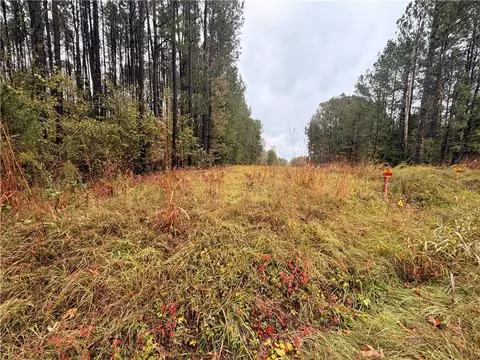 00 Beech Springs Road Rd, Pelzer, SC 29669 photo 2