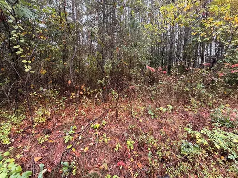 00 Beech Springs Road Rd, Pelzer, SC 29669 photo 4