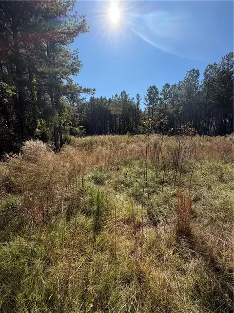 31 Waterside Pt, Abbeville, SC 29620