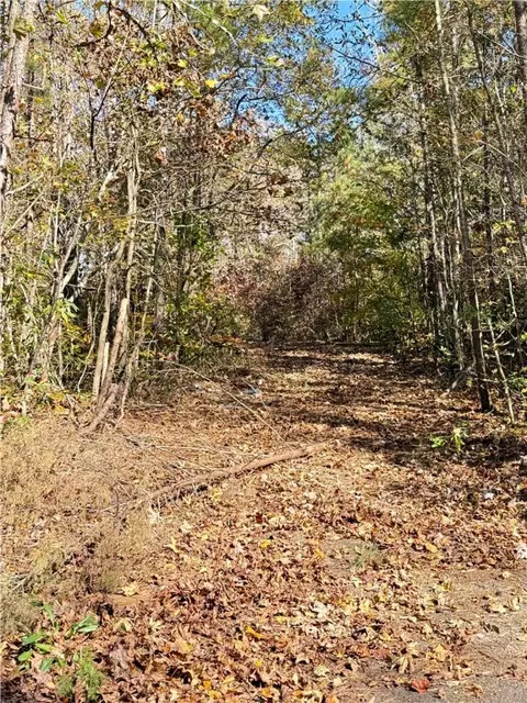 1333 Georgia Rd, Seneca, SC 29678