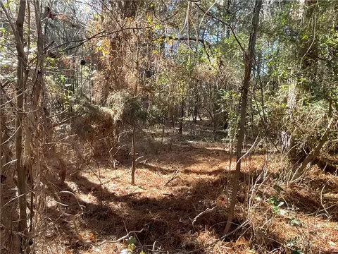 0 Prater Farm Rd, Seneca, SC 29678 photo 16