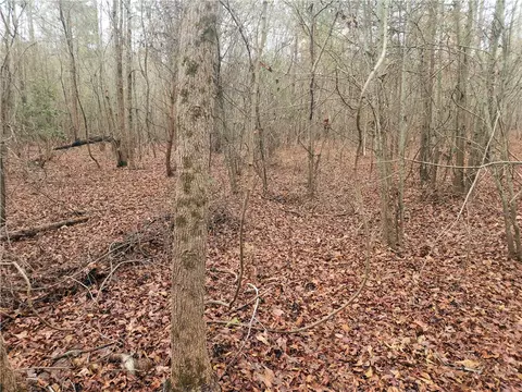 00 Scott Ln, Pelzer, SC 29669 photo 3