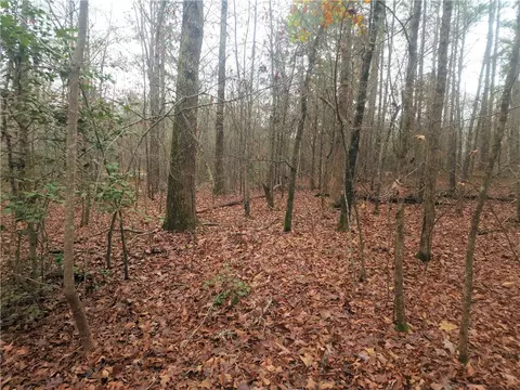 00 Scott Ln, Pelzer, SC 29669 photo 10