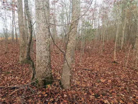 00 Scott Ln, Pelzer, SC 29669 photo 8