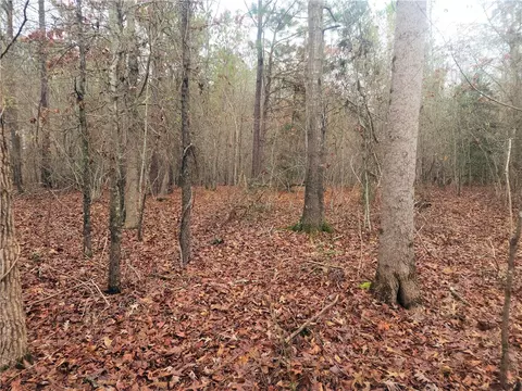 00 Scott Ln, Pelzer, SC 29669 photo 14