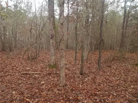 00 Scott Ln, Pelzer, SC 29669 photo 13