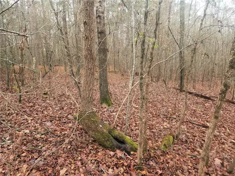 00 Scott Ln, Pelzer, SC 29669 photo 11