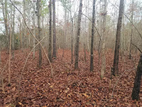 00 Scott Ln, Pelzer, SC 29669 photo 6