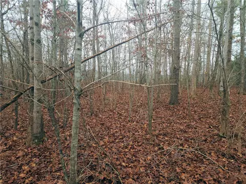 00 Scott Ln, Pelzer, SC 29669 photo 7