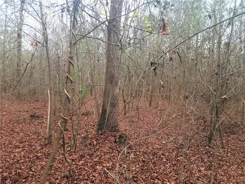 00 Scott Ln, Pelzer, SC 29669 photo 5