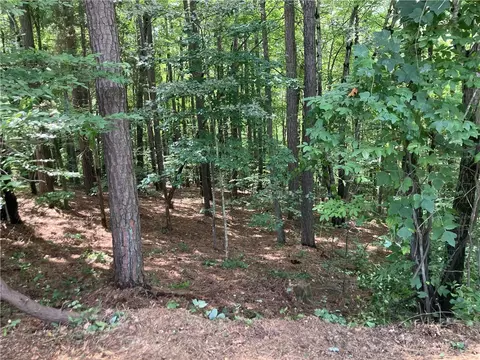 806 Bright Leaf Court Se Bright Leaf Ct, Seneca, SC 29672 photo 25