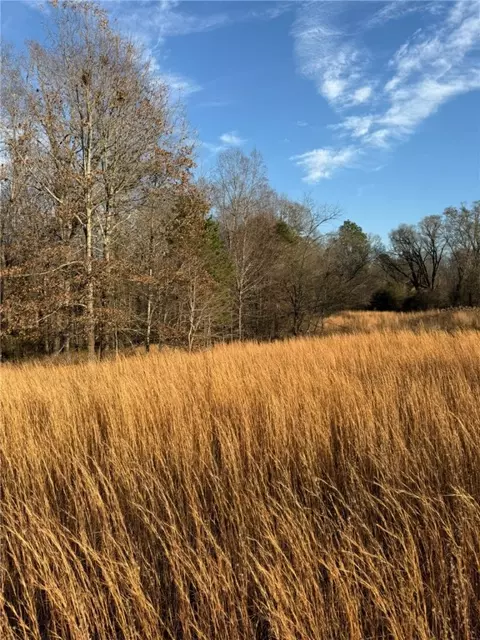 00 Lecroy Rd, Walhalla, SC 29691 photo 14