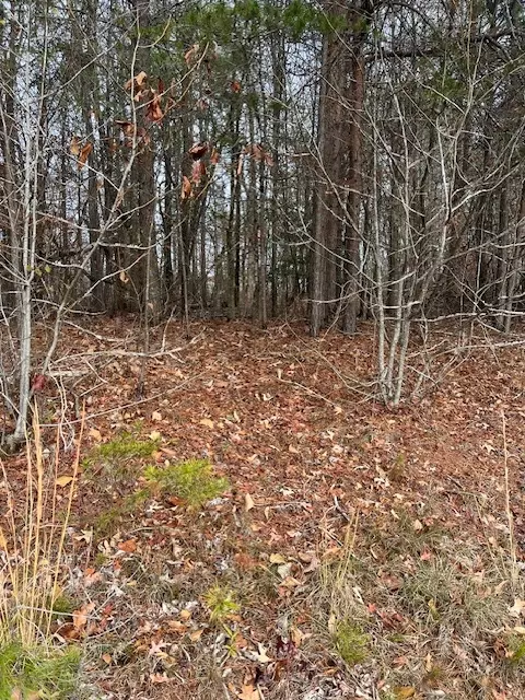 000 Chickasaw Dr, Westminster, SC 29693