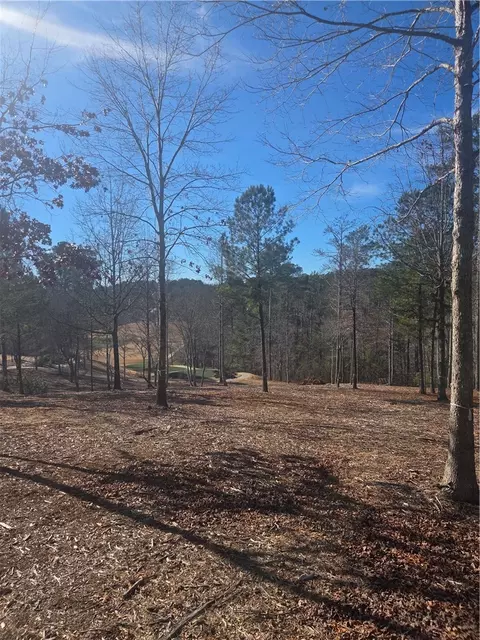 116 Bluebell Way, Sunset, SC 29685