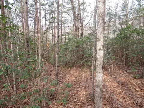 110 Fireside Ln, Pickens, SC 29671 photo 8