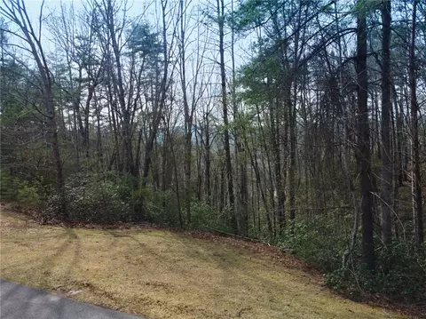 318 Ginseng Dr, Sunset, SC 29685 photo 5