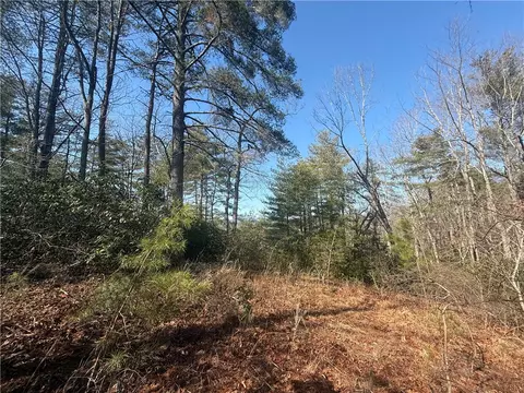 318 Ginseng Dr, Sunset, SC 29685 photo 16