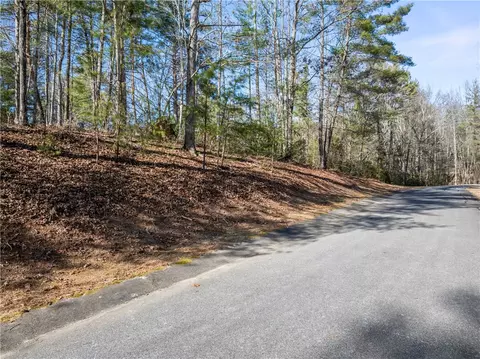 318 Ginseng Dr, Sunset, SC 29685 photo 21