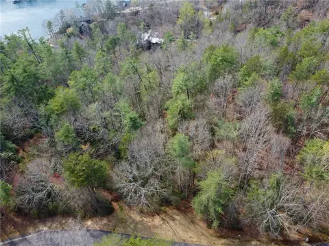 318 Ginseng Dr, Sunset, SC 29685 photo 9