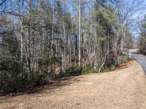 318 Ginseng Dr, Sunset, SC 29685 photo 11