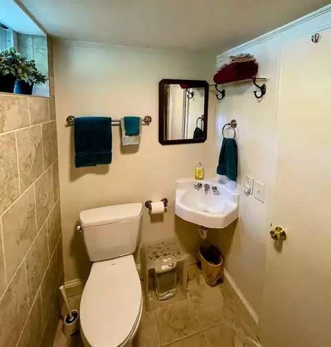 Bath - 103 Poole Ln, Clemson, SC 29631 photo 6 of 8