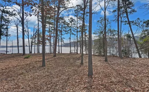 142 C C Cir, Hartwell, GA 30643 photo 13