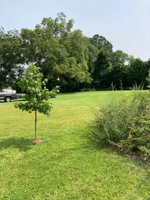 302 Bleckley St, Anderson, SC 29625