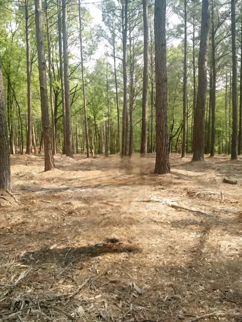 lot Apt 63 Harbor Point Rd, Seneca, SC 29672