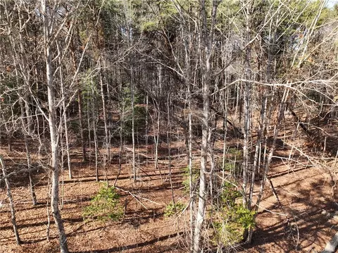 Tract B Old Unity Road, Westminster, SC 29693 photo 9