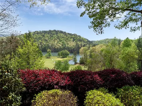 View/Area - 220 Long Cove Ct, Sunset, SC 29685 photo 2 of 5