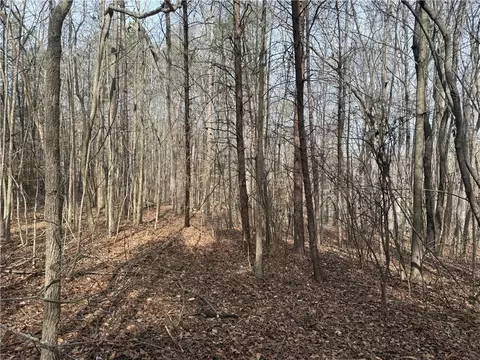00 Friendship Loop Dr, Seneca, SC 29678 photo 7
