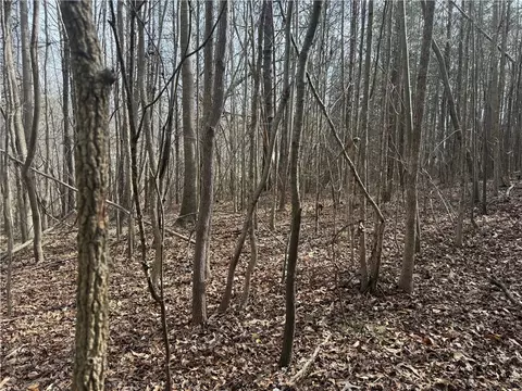 00 Friendship Loop Dr, Seneca, SC 29678 photo 8