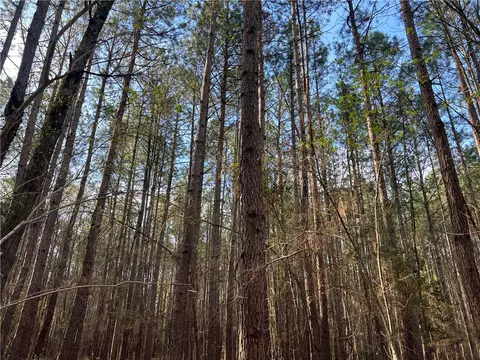 00 Bell Field Rd, Mccormick, SC 29835 photo 11