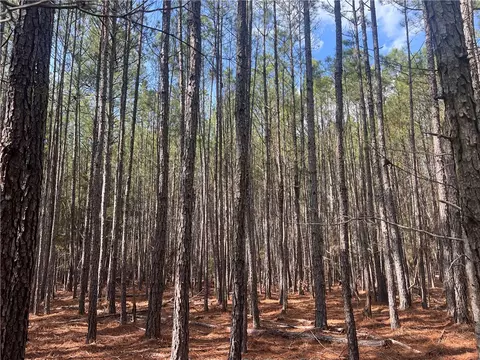 00 Bell Field Rd, Mccormick, SC 29835 photo 6