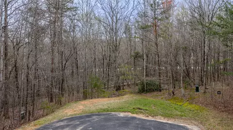 56 Angleblade Rd, Landrum, SC 29356 photo 2