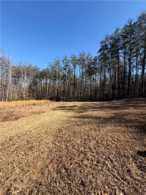 262 Blue Sky Dr, Sunset, SC 29685 photo 18